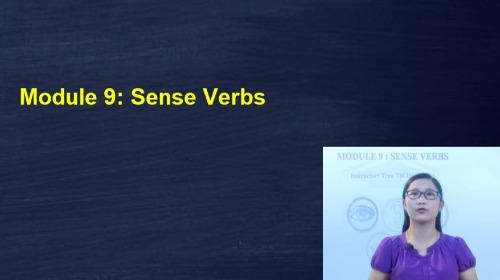 Module 9: Sense Verbs